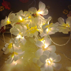 1 Set of 20 LED White Frangipani Flower Battery String Lights Christmas Gift Home Wedding Beach Party Decoration Outdoor Table Centrepiece