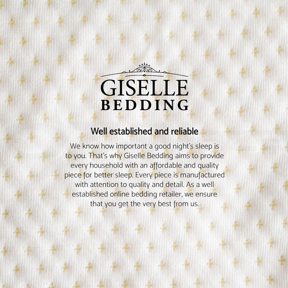 Giselle Bedding Memory Foam Pillow 13cm Thick Twin Pack