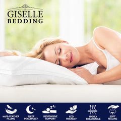 Giselle Bedding Goose Feather Down Pillow Luxury Twin Pack