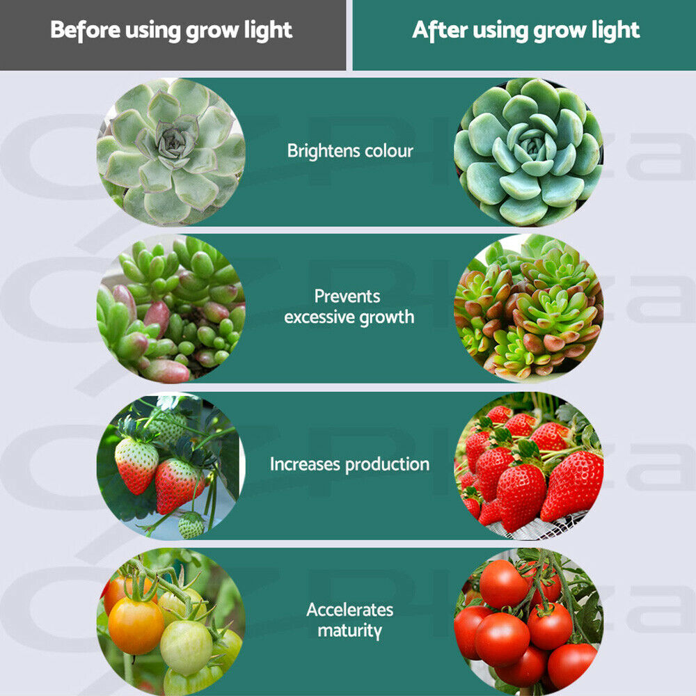 Greenfingers 1000W Grow Light LED Full Spectrum Indoor Plant All Stage Growth