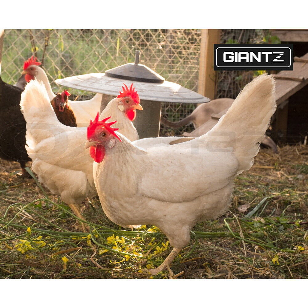 Giantz Automatic Chicken Coop Door Opener