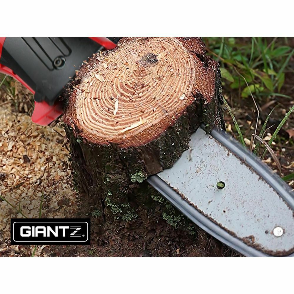 cordless pole chainsaw