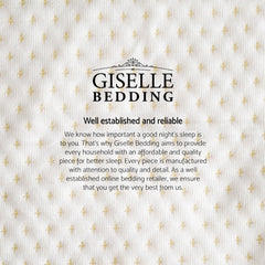 Giselle Bedding Memory Foam Pillow 19cm Thick Twin Pack